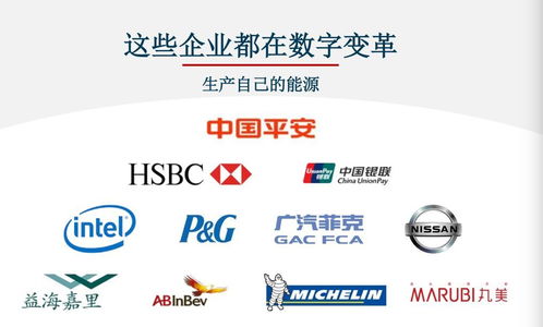 對標Adobe，Nequal如何以數據與技術雙引擎賦能企業(yè)智慧商業(yè)